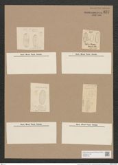 Navicula oculata Breb. (de-Toni-Nr.: Genus 1, Species 297) Zeichnungen Sammlung Grunow Nr. 677 (NHMW-BOT-W0367051)